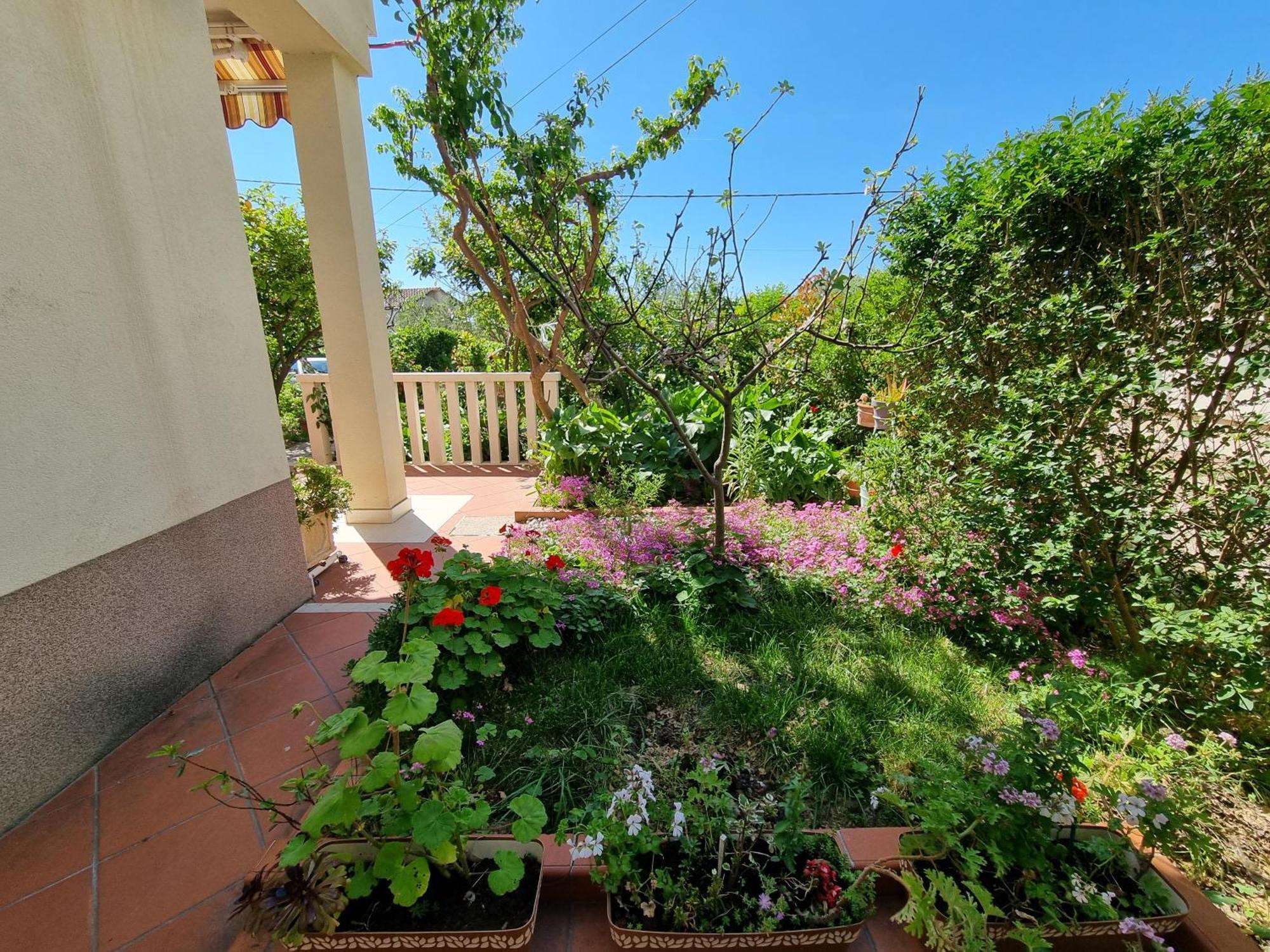 Apartments Kadenca Omis Luaran gambar